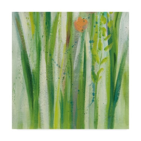 Silvia Vassileva 'Longstem Bouquet I Square Iii' Canvas Art,24x24